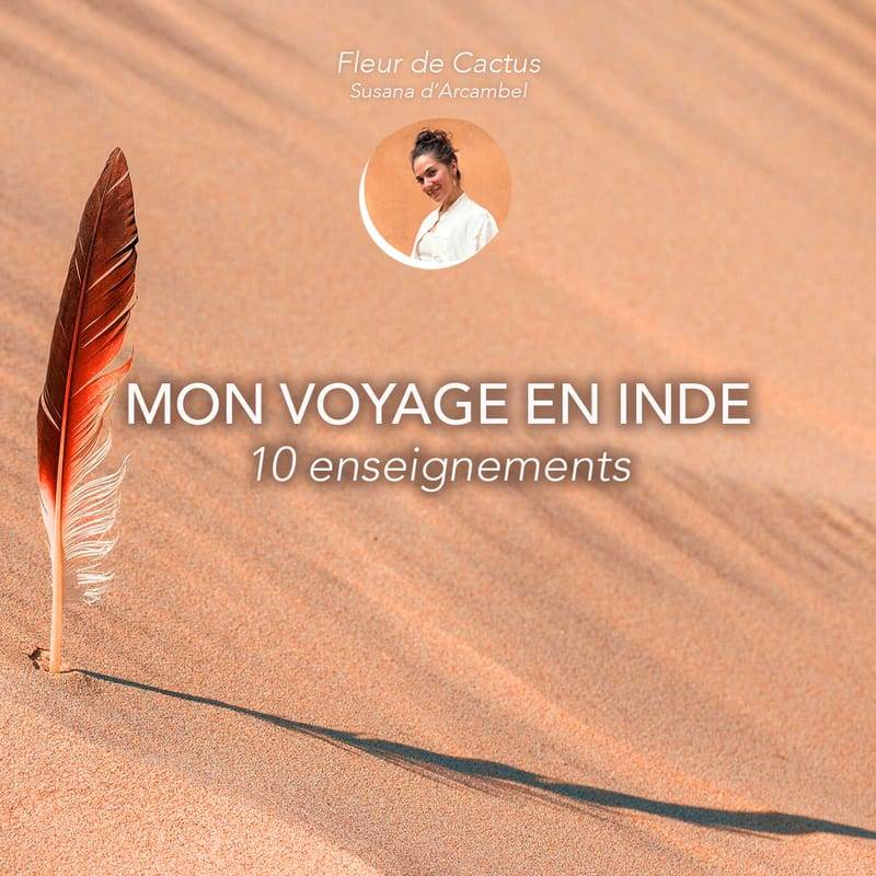 Jaquette de l'épisode #103 Mon voyage en Inde - 10 enseignements