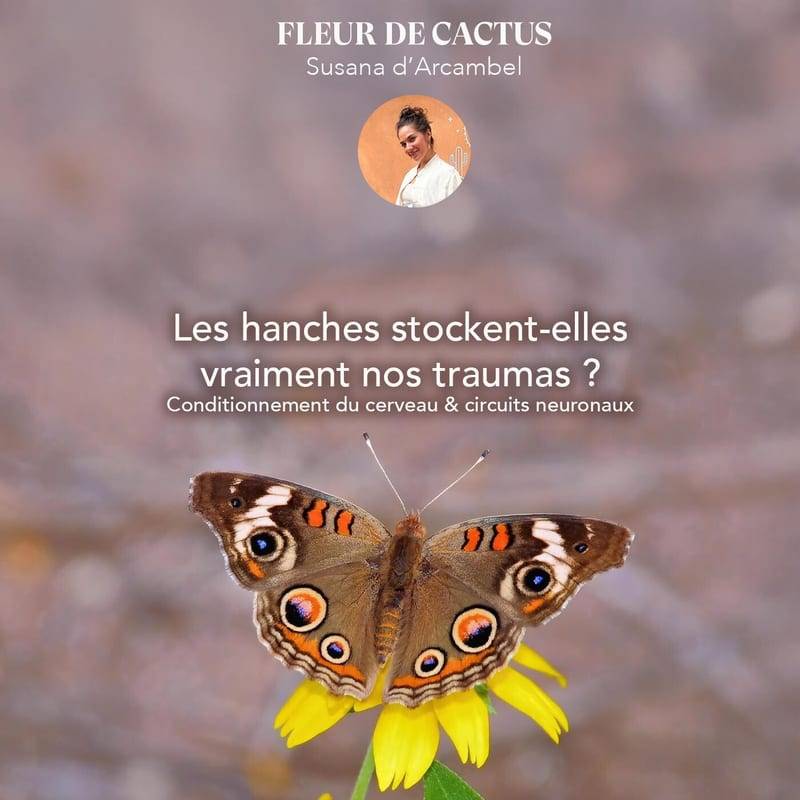 Jaquette de l'épisode #106 Les hanches stockent-elles vraiment nos traumas ? Vrai ou Faux ?