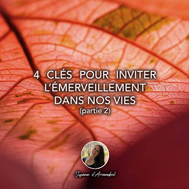 Jaquette de l'épisode #94 4 clés pour inviter l'émerveillement dans nos vies (PARTIE 2)