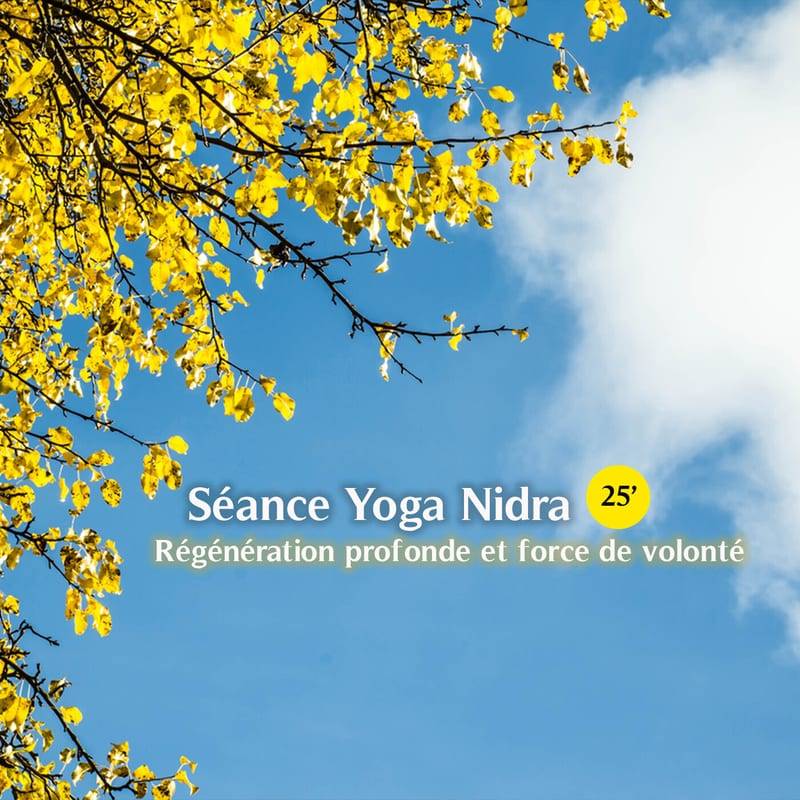 Jaquette de l'épisode #71 Séance Yoga Nidra (25') - Régénération profonde + augmente la force de volonté