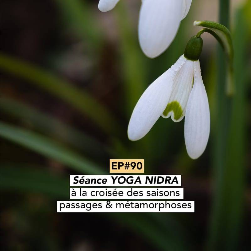 Jaquette de l'épisode #90 [Séance Yoga Nidra] à la croisée des saisons : passages & métamorphoses intérieurs