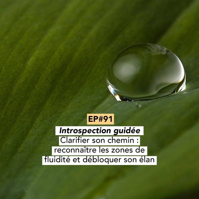 Jaquette de l'épisode #91 [Séance guidée d'introspection] Clarifier son chemin : reconnaître les zones de fluidité et débloquer son élan