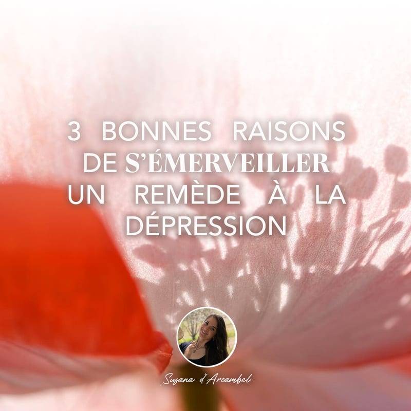 Jaquette de l'épisode #93 3 bonnes raisons de s'émerveiller - un remède à la dépression (PARTIE 1)
