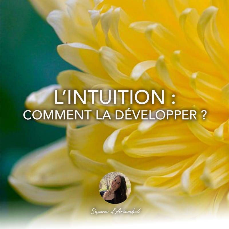 Jaquette de l'épisode #96 L'intuition : comment la développer et prendre de bonnes décisions ?