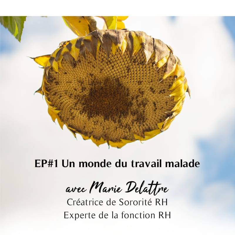 Jaquette de l'épisode #37 Un monde du travail malade - avec Marie Delattre (Sororité RH - Experte RH)