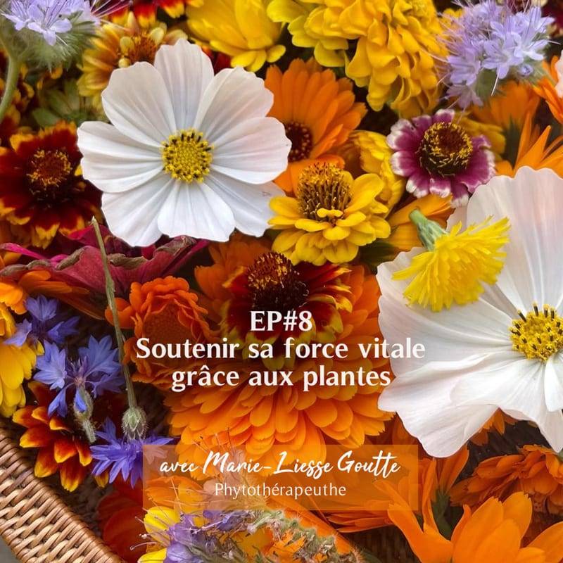 Jaquette de l'épisode #49 Soutenir sa force vitale grâce aux plantes avec Marie-Liesse Goutte (phytothérapeute)