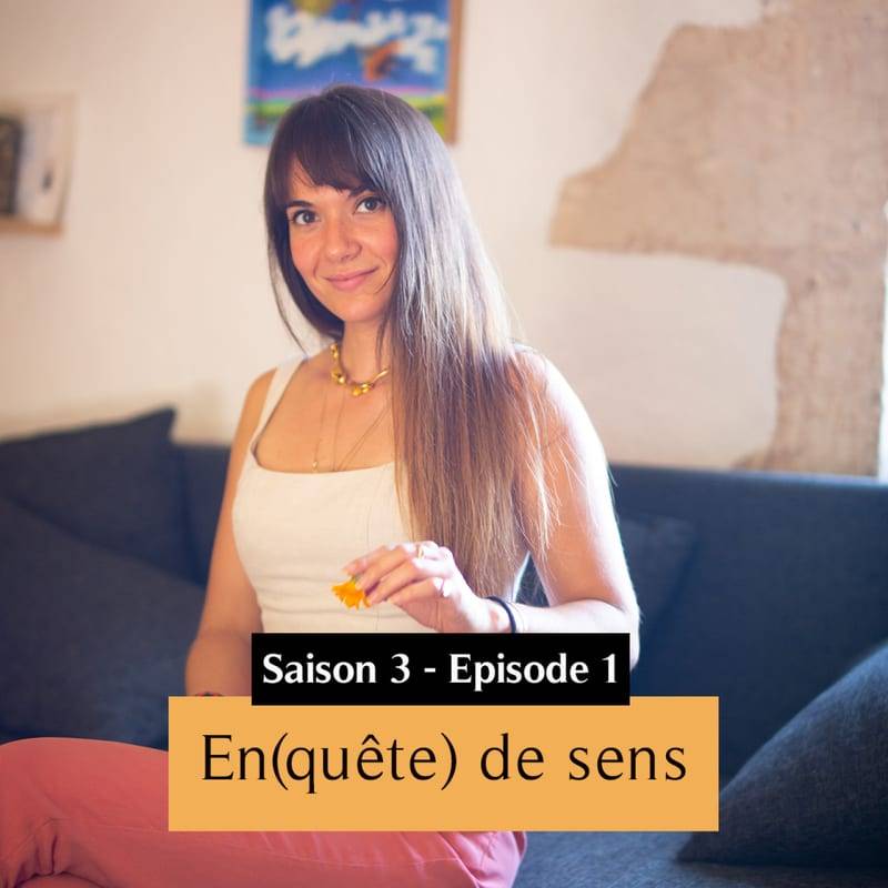 Jaquette de l'épisode SAISON 3 : En(quête) de sens